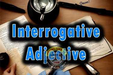 Interrogative Adjective definition and examples-179-6338119261.jpg